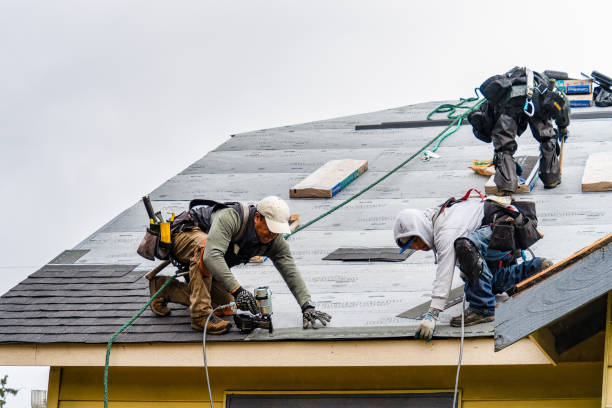 Professional Roofing technician working in Brunsville, IA